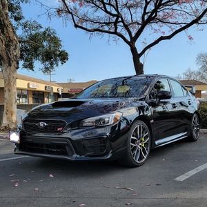 Meet your Posher, Lacy